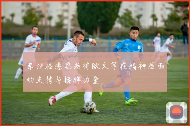 弗拉格感恩老将欧文等在精神层面的支持与榜样力量